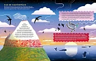 Невероятные странствия животных