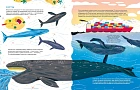 Невероятные странствия животных