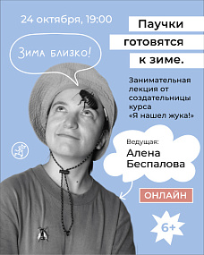 Паучки готовятся к зиме