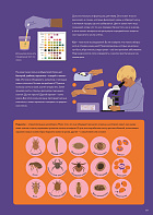 У ветеринара: как устроена медицина для животных